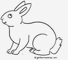 Dunia Sketsa Gambar: sketsa kelinci
