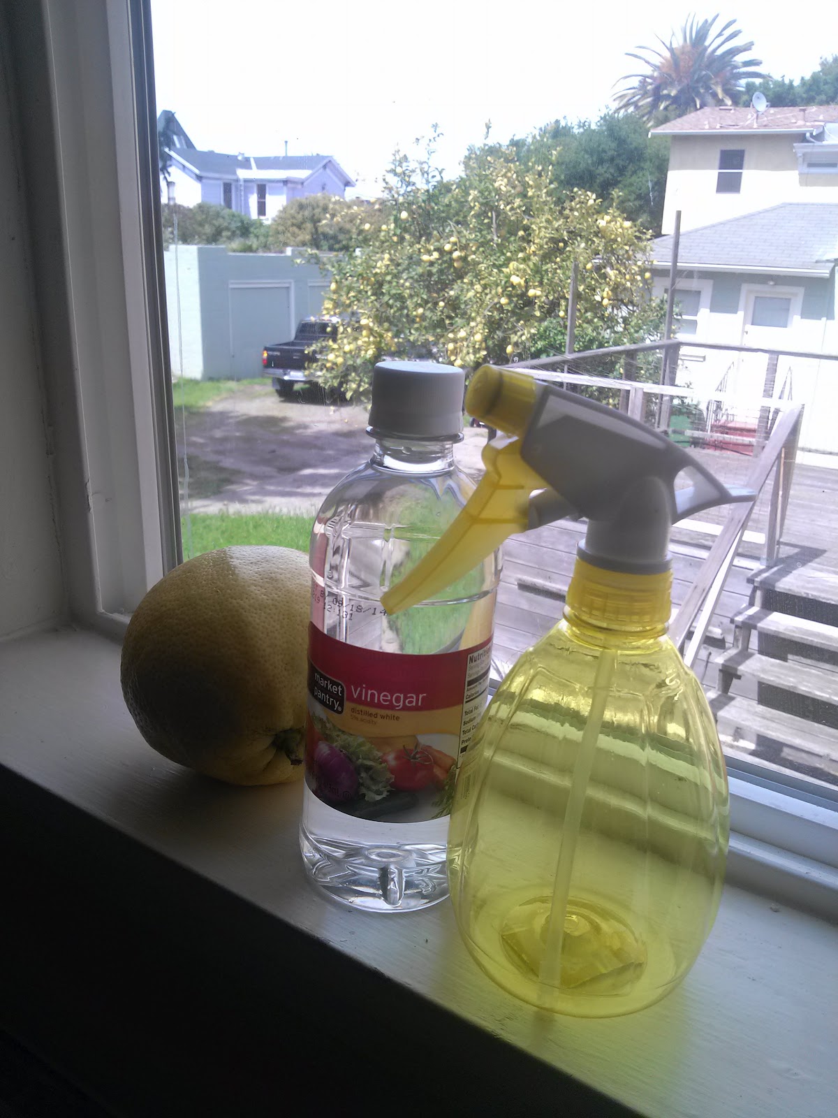 Modern Momcraft Homemade Glass Cleaner