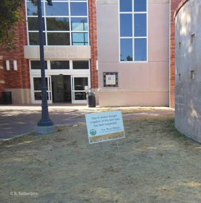 Brown Lawn at Paso Robles City Hall and Library. © B. Radisavljevic