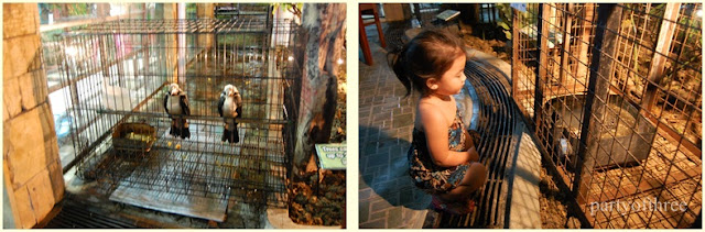 oceanarium buffet price oceanarium buffet price