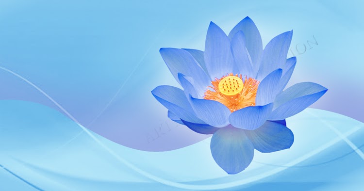 Artline : Feel The Creation!: Attractive High Quality Wallpapers Blue Lotus  