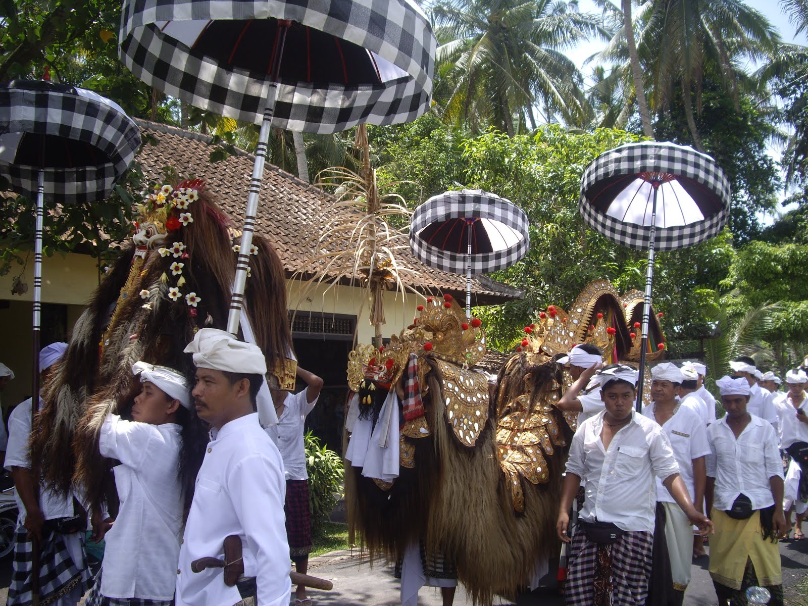 TRADITIONAL BALINESE PROCESSION THROUGH THE RICE FIELDS