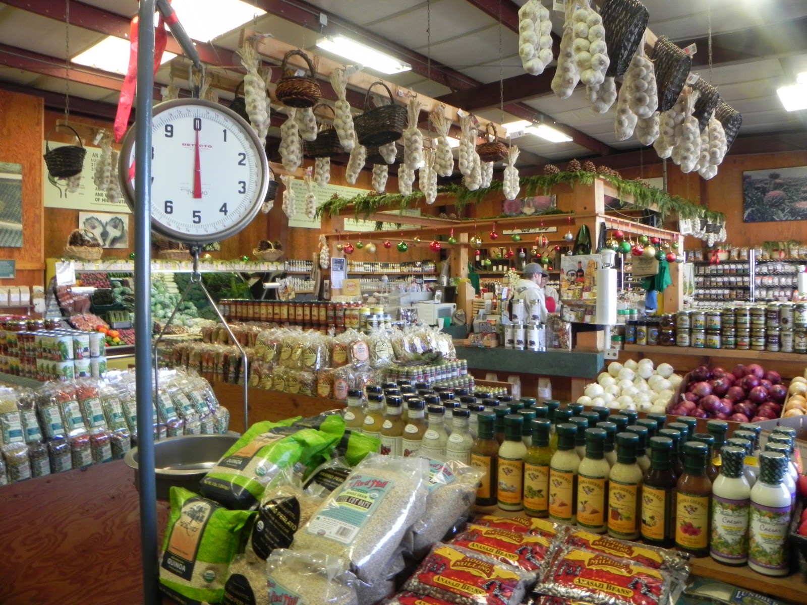 A Day in the Life of the Wood's Exploring California Pezzini Artichoke Farm