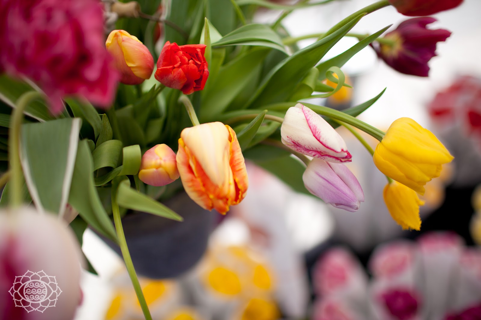 union square farmers market soul wrap