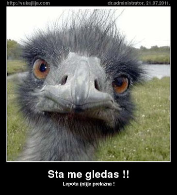 Viber profilne slike viber profilne slike