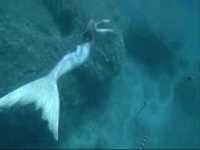 YOUTH EMPOWERMENT/ALL ROUND ENTERTAINMENT: SHOCKING!!!!!!!!!!! REAL