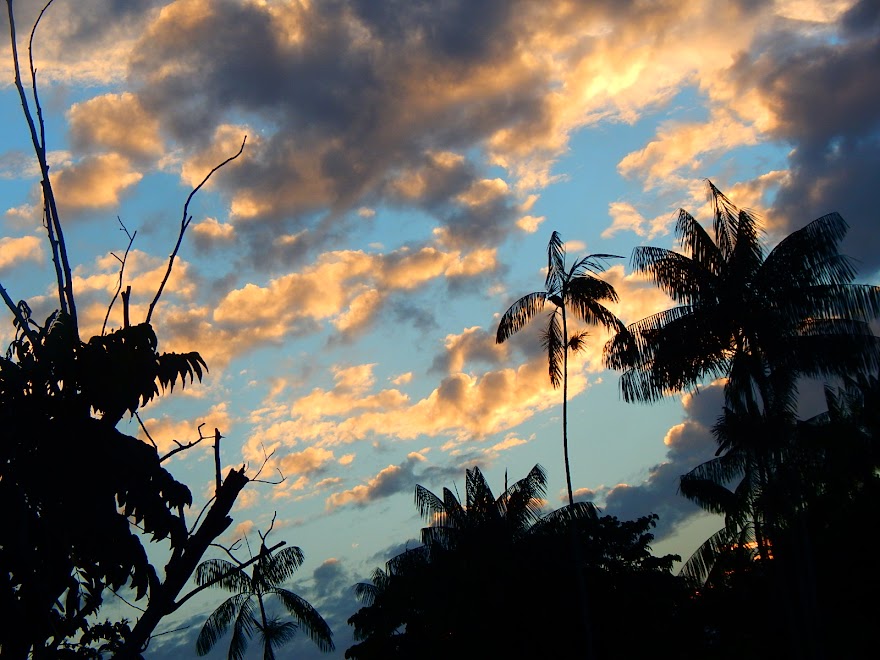 AMANHECER NA AMAZONIA