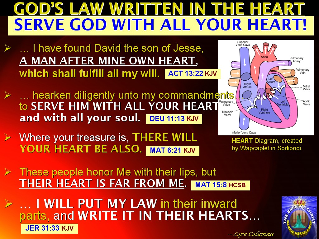 The BRIDE OF CHRIST Ministry of Life WHAT IS THE HEART OF GOD? IS YOUR