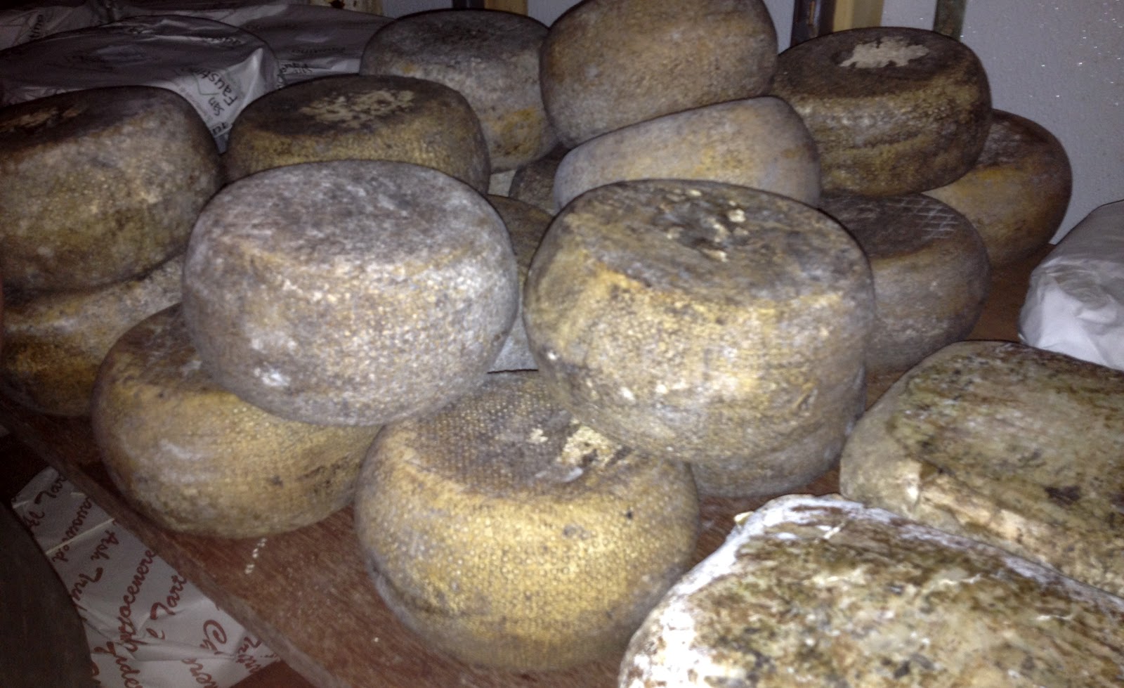 Eating & Formaggio Kitchen Cheese Cave Tour