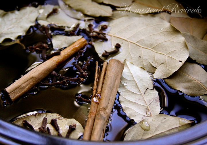 Homestead Revival Ginger Spice Decoction