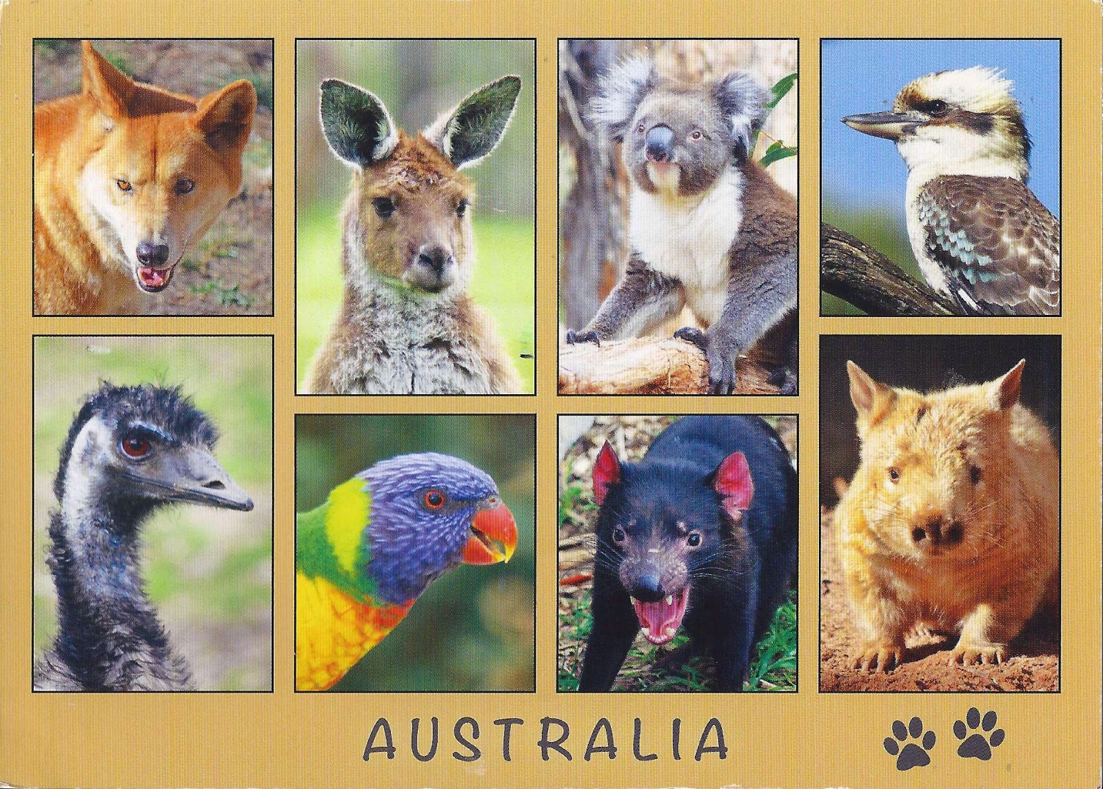 In australia animal Animal factsheets