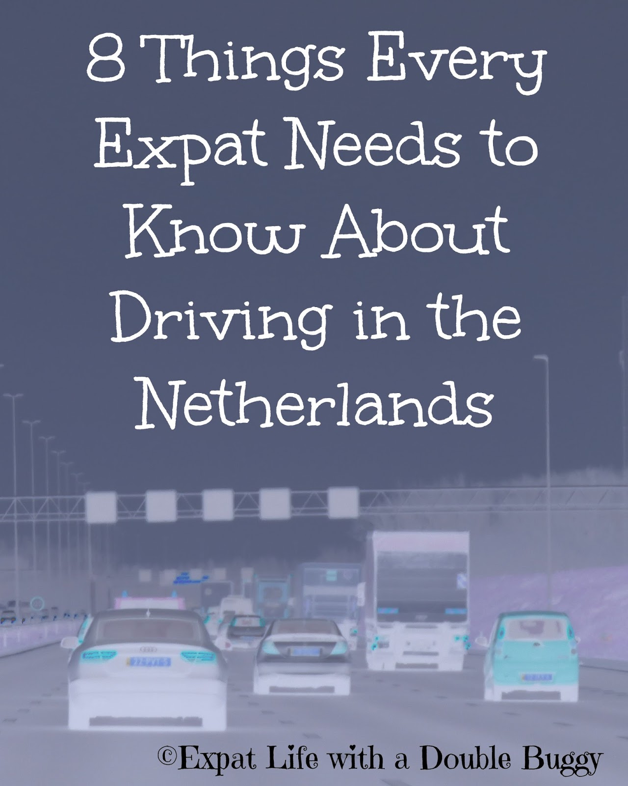 Turning Dutch 8 Things Every Expat Needs to Know About Driving in the