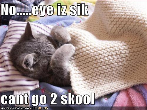 Funny Sick Animals