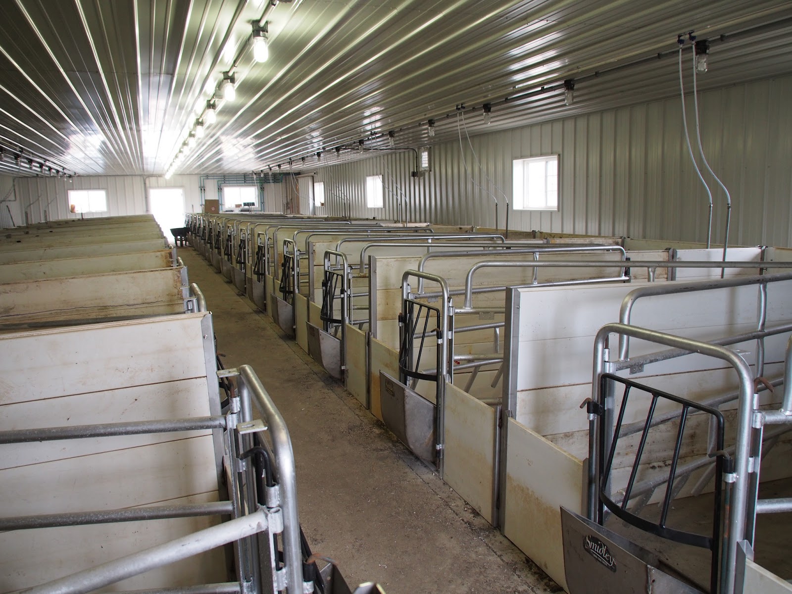 Pastures A Plenty Farrowing house and pens.