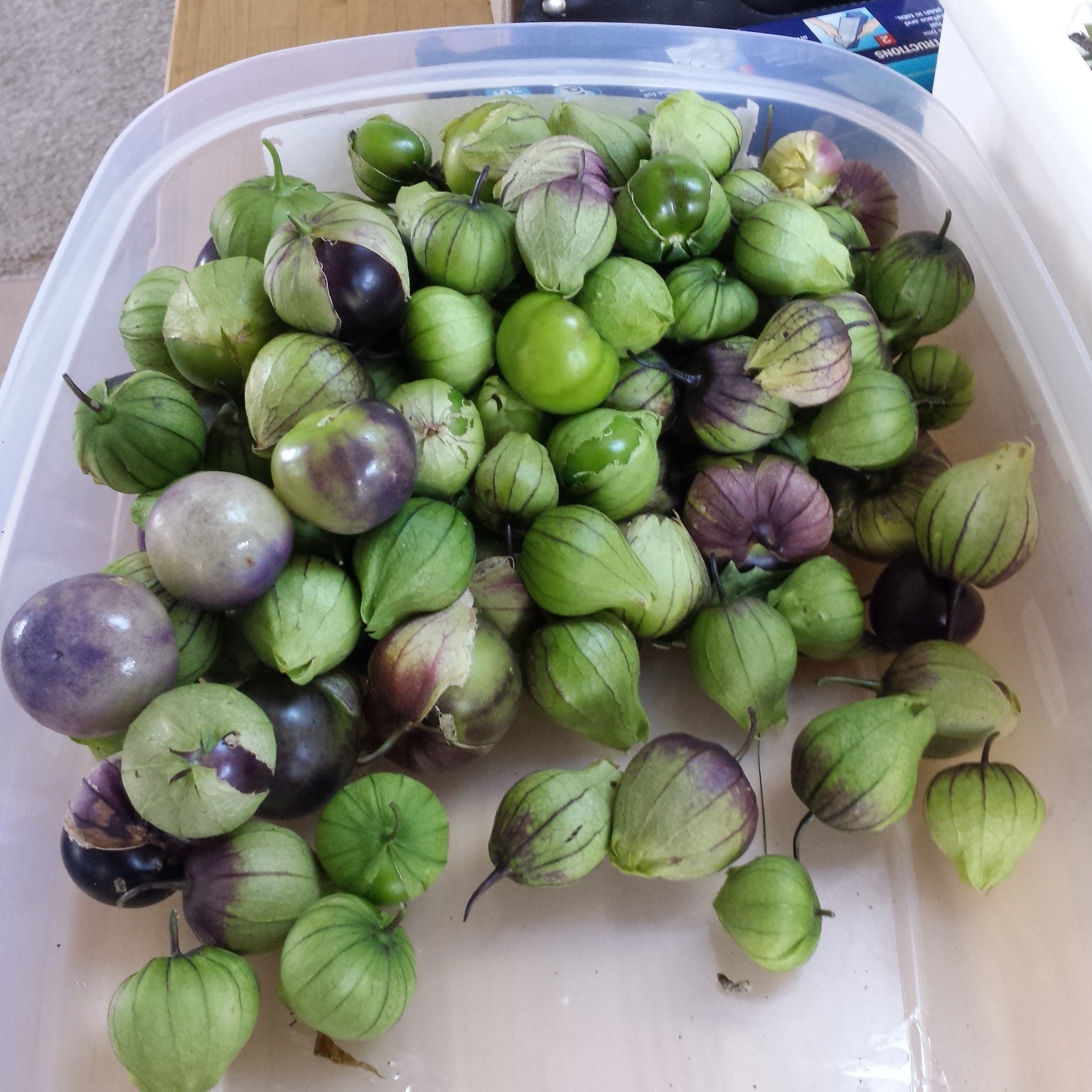 You have to cook it right Tomatillo Salsa with Smoked Chili's