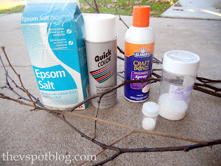 Ingredients needed to make DIY frosty icy branches.