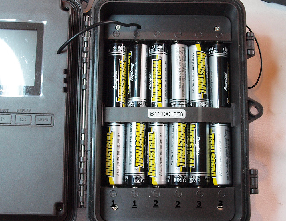 Ron Bury's Wildlife Ltl Acorn 6210 MC and Bushnell 119467 Review