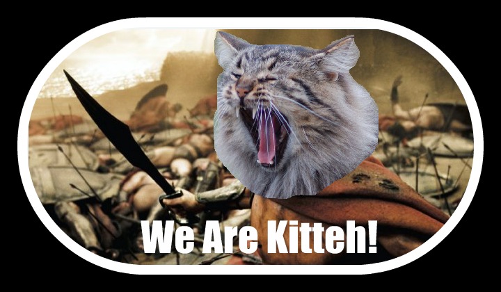We Are Kitteh!!!