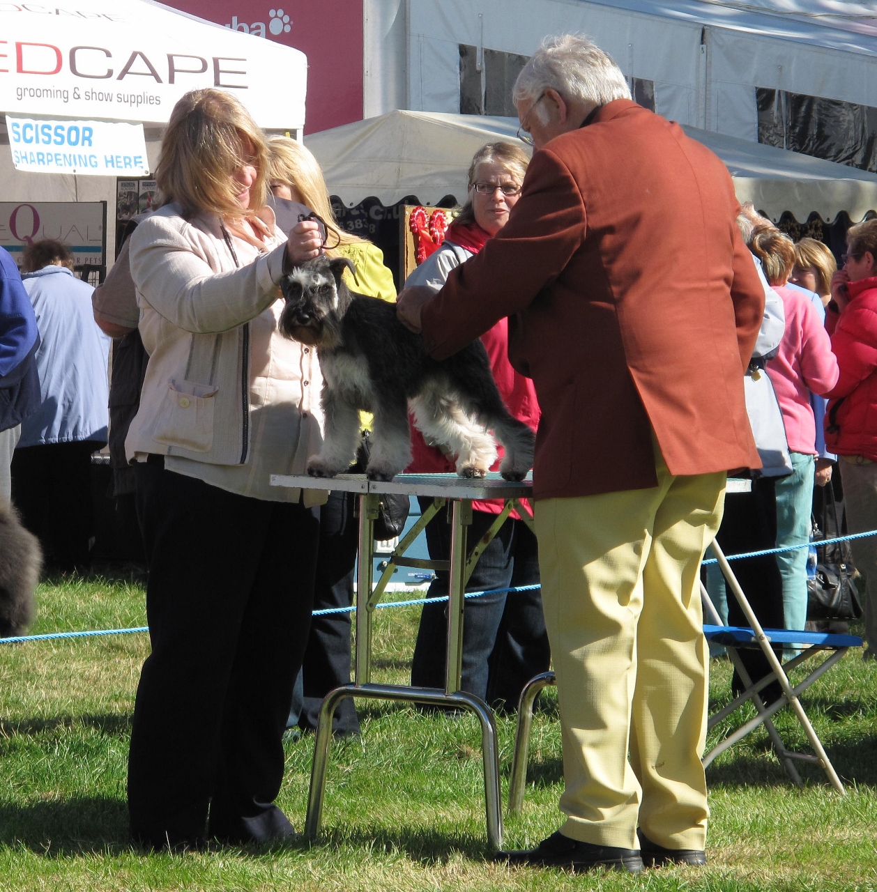 Life in the Doghouse Darlington Championship Dog Show