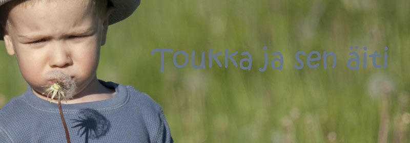 Toukka ja sen äiti