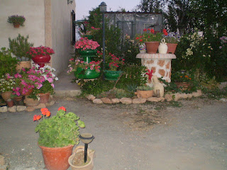 Jardín, Reciclaje y más: Mi jardín de macetas