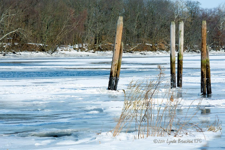 Florence,NJ and the icy Delaware  2014 © Lynda Bruschini iCPG. All Rights Reserved