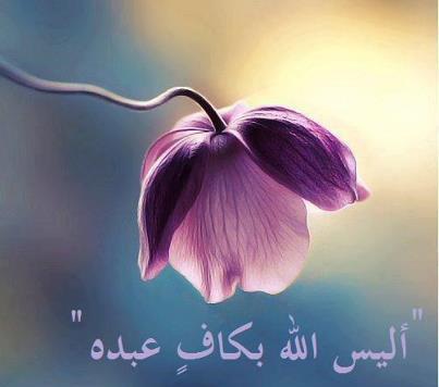 ajmal kalam _ من أجمل كلام الحكماء_
