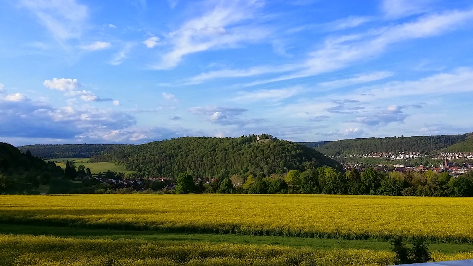 Malteser In Deutschland