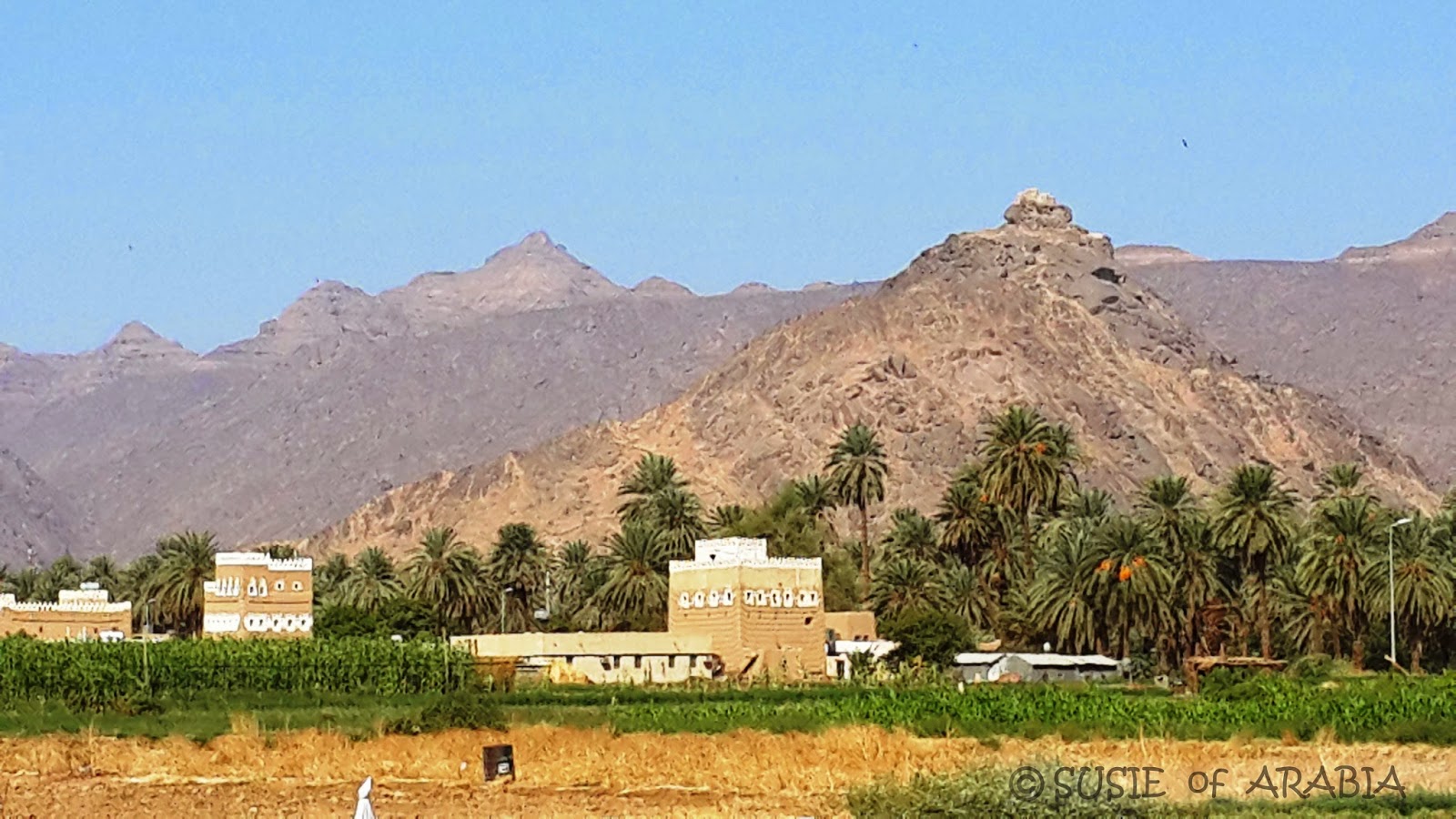 SUSIE Of ARABIA Enchanting Najran Saudi Arabia SUSIE Of ARABIA Enchanting Najran Saudi Arabia