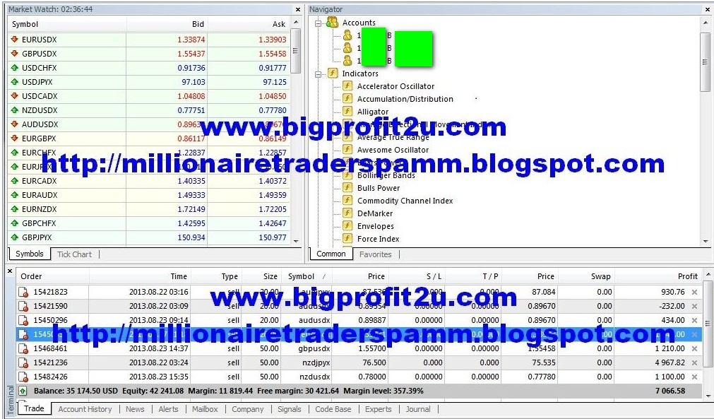 Forex pamm program