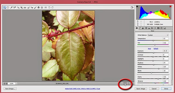 Click preview mode button in Camera Raw window Click preview mode button in Camera Raw window