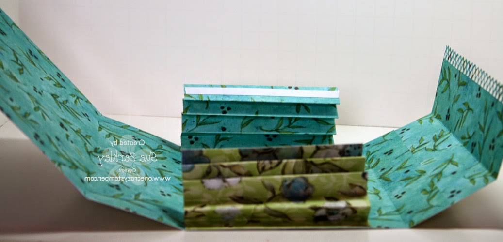 Accordion Style Card Holder and Card Organizer