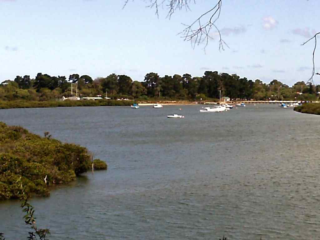 TRACKS, TRAILS AND COASTS NEAR MELBOURNE Cannon's Creek Coastal Park