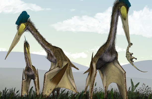 Dinosaur Quetzalcoatlus