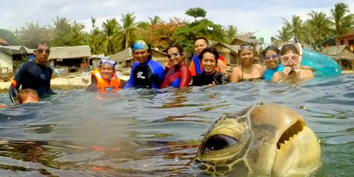 Unik: Hewan Juga Bisa Selfie Lucu loh