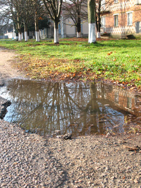 зеркало природы