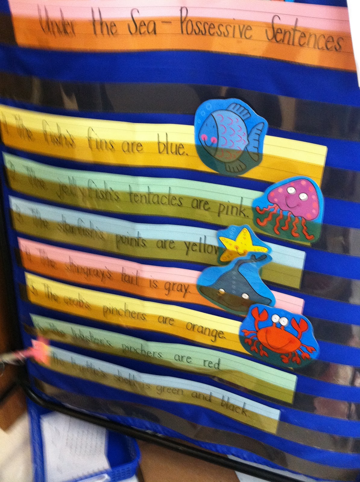 First Grade Fabulous Fish At the Aquarium Contractions, Possessive