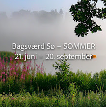 Bagsværd Sø – SOMMER