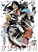 Bleach Manga 513 (leer aquí)