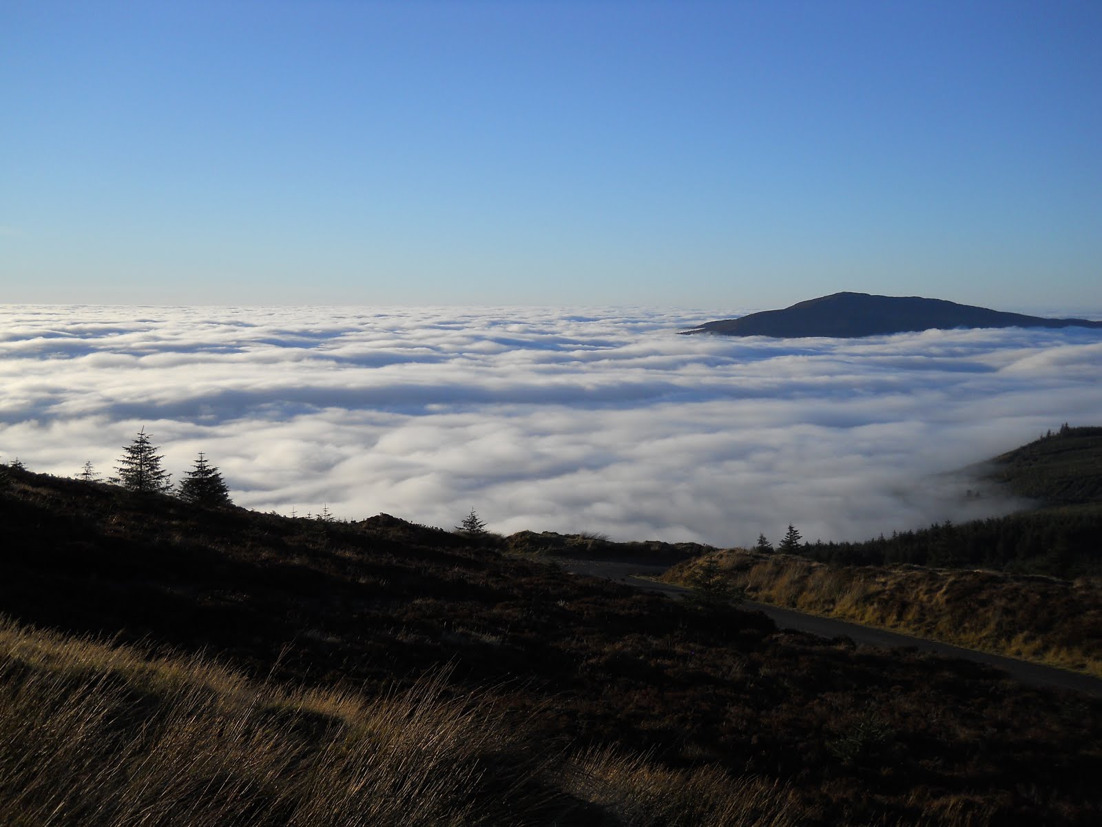 Inversion Nov 2015 at Black Mt.