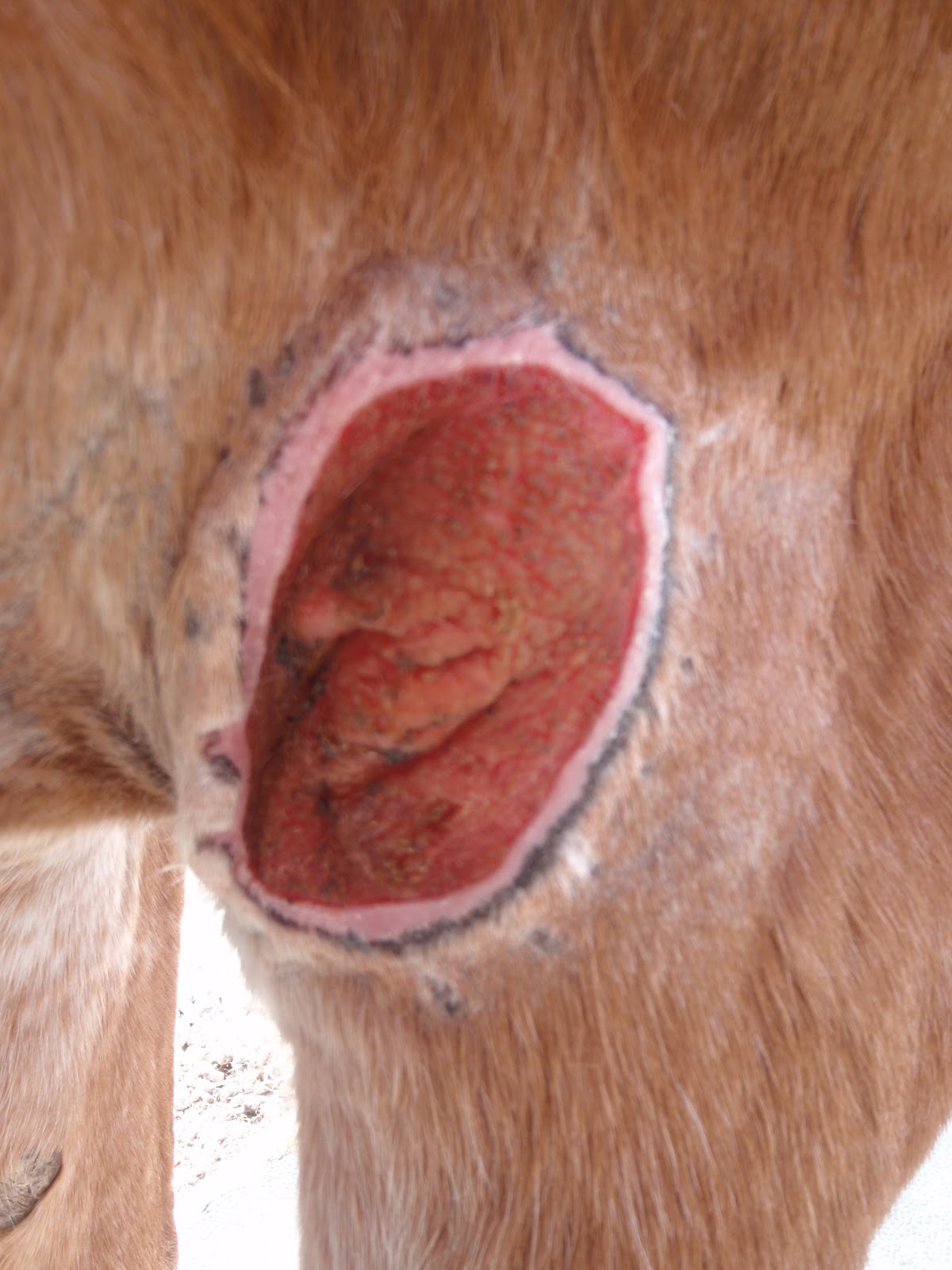 rencontre femme sucy en brie