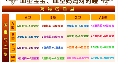 水果瘦身 享瘦 血型减肥法 水果瘦身 享瘦 血型减肥法