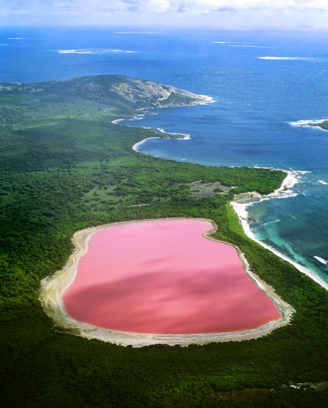 Lake Hillier nature art pink lake in Australia