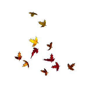 3D Gif Animations - Free download i love you images photo background  screensaver e-cards: Autumn nature .... good strong wind the leaves fall  from the trees .... the nature changes colors ...