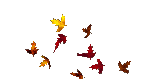 3d Gif Animations Free Download I Love You Images Photo Background Screensaver E Cards Autumn Nature Good Strong Wind The Leaves Fall From The Trees The Nature Changes Colors