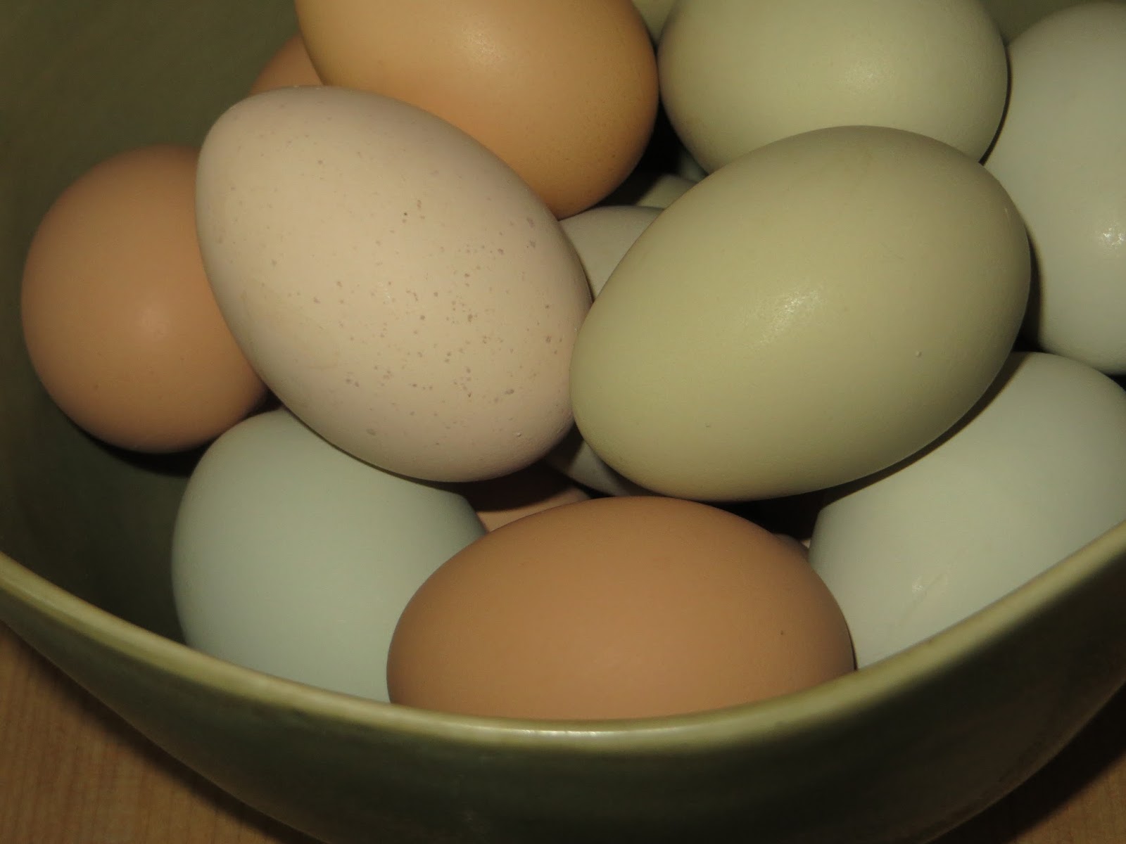 How Much Space Does One Chicken Need at Douglas Novello blog