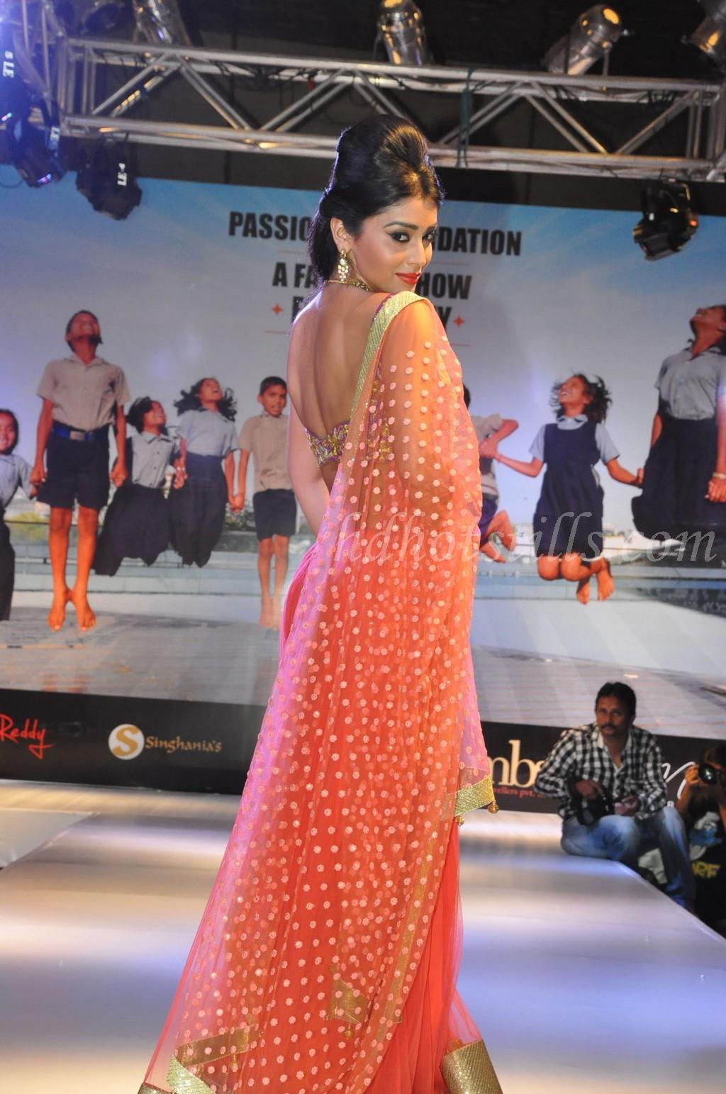 Shriya Saran Hot Backless Stills and Photos in HD - Indian Actress
