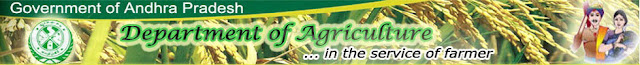 Andhra Pradesh Agriculture AG. officers Recruitment 2013