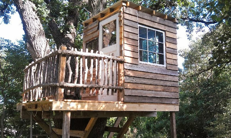 Tree house