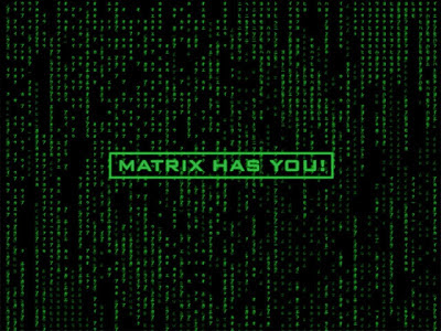 http://2.bp.blogspot.com/-enNsI2P6vpY/UL4x5faHTHI/AAAAAAAADBY/ou5ygDXcc6Y/s400/2005_2d_matrix-has-you_big.jpg